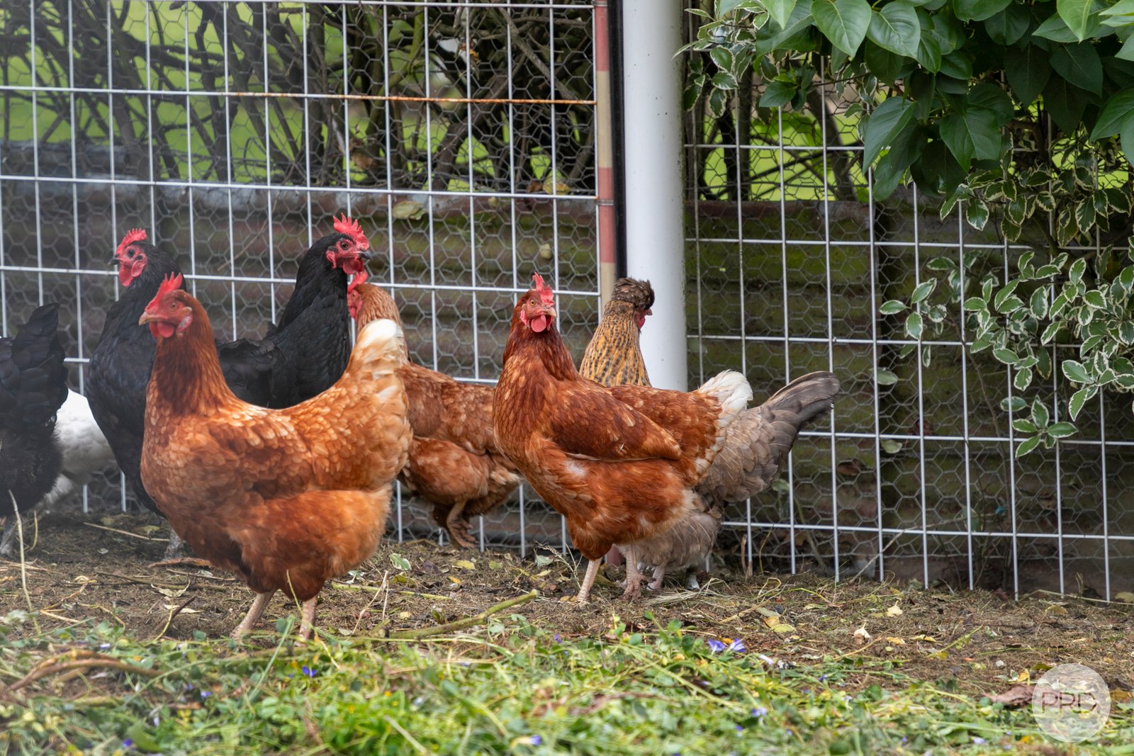 151 Gracefield Road GONG GONG 17