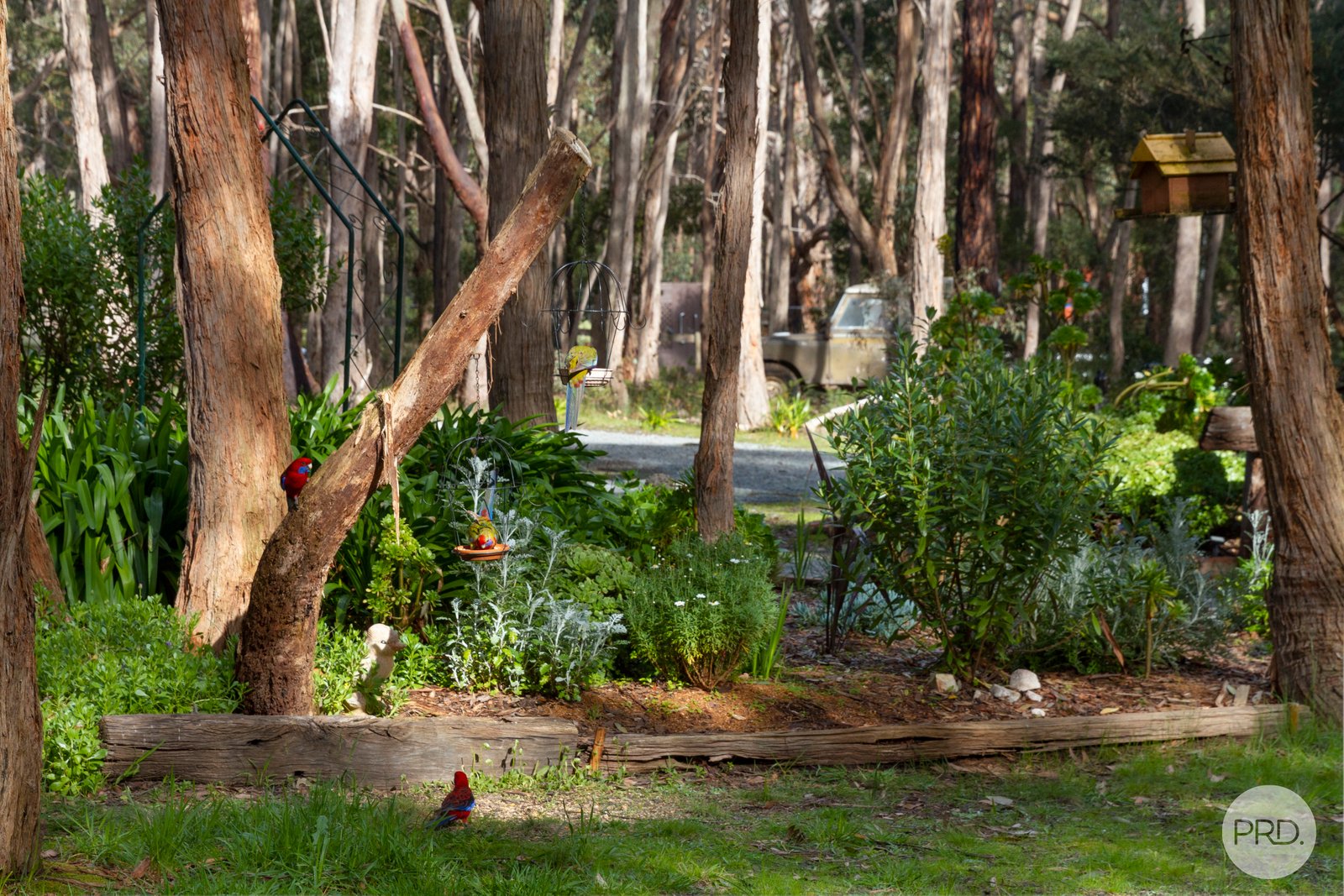 151 Grevillea Drive ENFIELD 16