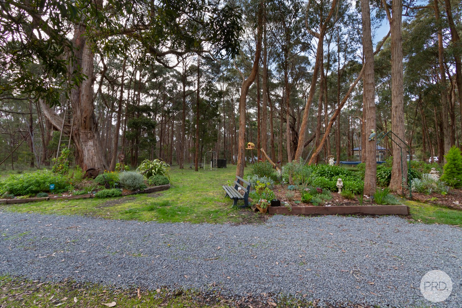 151 Grevillea Drive ENFIELD 17