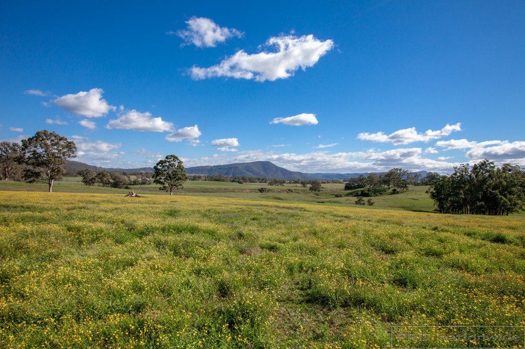 151 Horns Crossing Road VACY 5