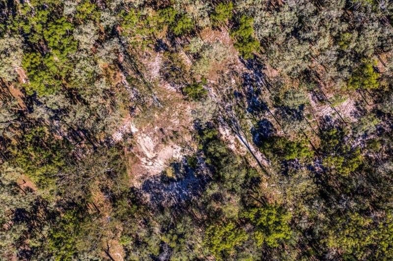 151 Messmate Drive MIRIAM VALE 14