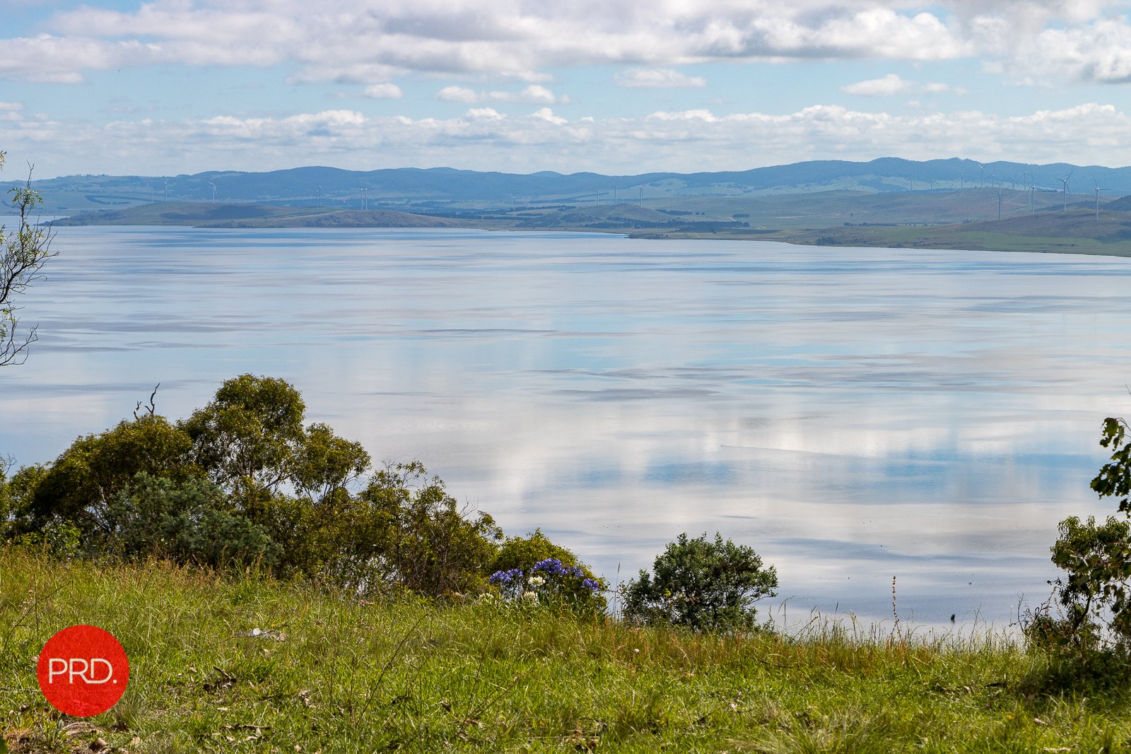 151 The Forest Rd  BYWONG 2