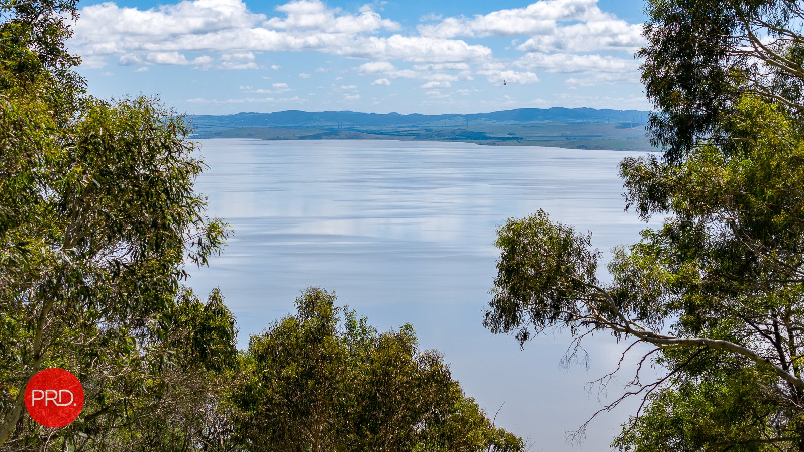 151 The Forest Rd  BYWONG 3