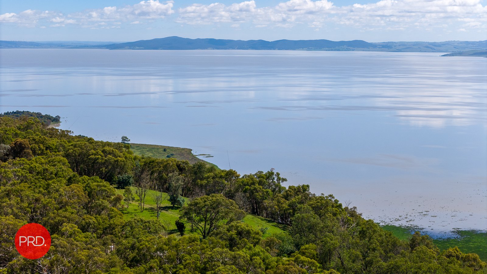 151 The Forest Rd  BYWONG 21