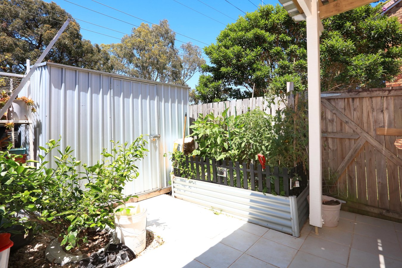 15/105 Ridgeway Avenue SOUTHPORT 14