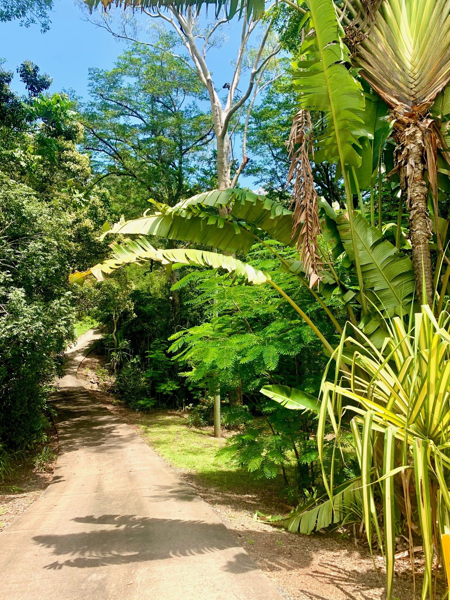 151/153 Orchid Road CANNON VALLEY 12