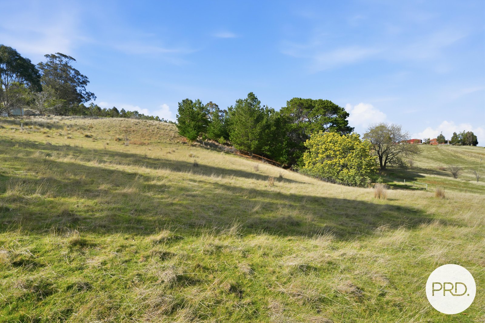 152 Pritchards Lane DYSART 11