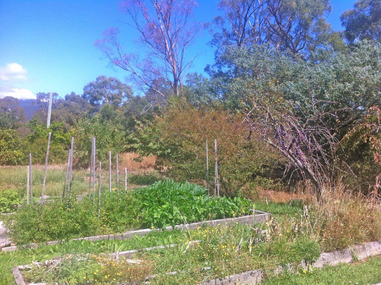 1520 Gordon River Road WESTERWAY 9