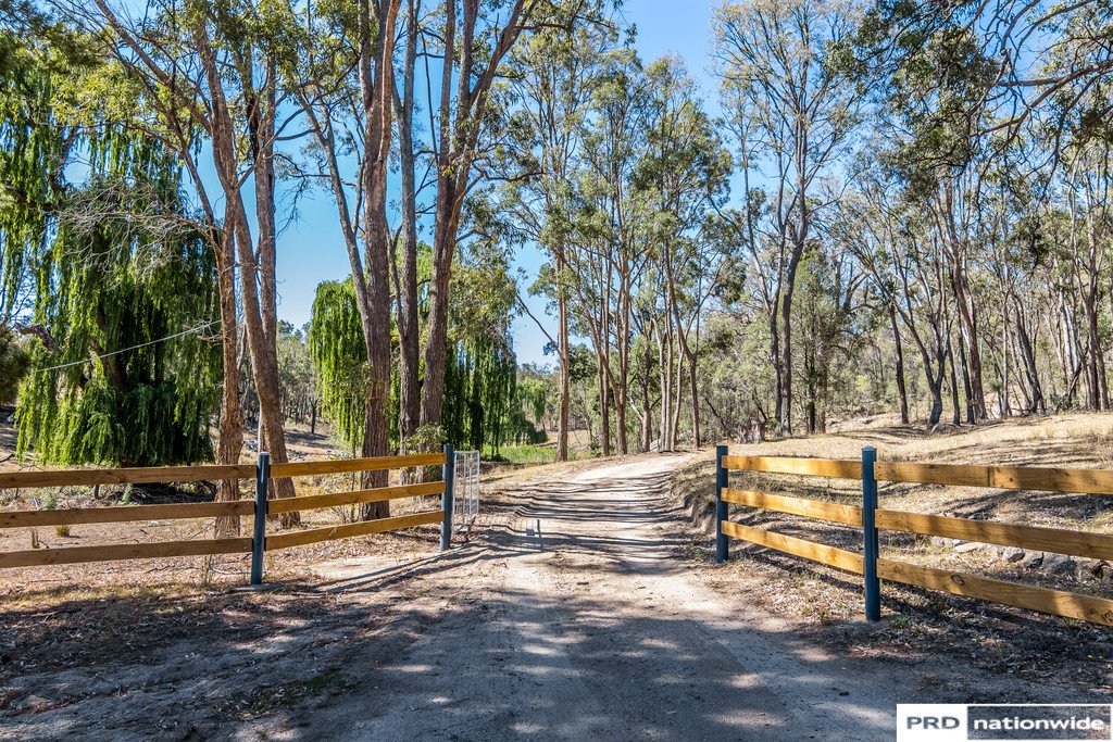1524 New England Gully  MOONBI 4