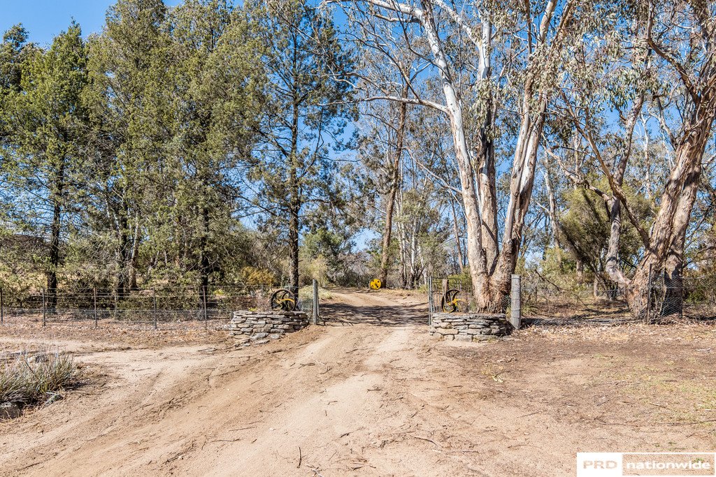 1524 New England Gully  MOONBI 21