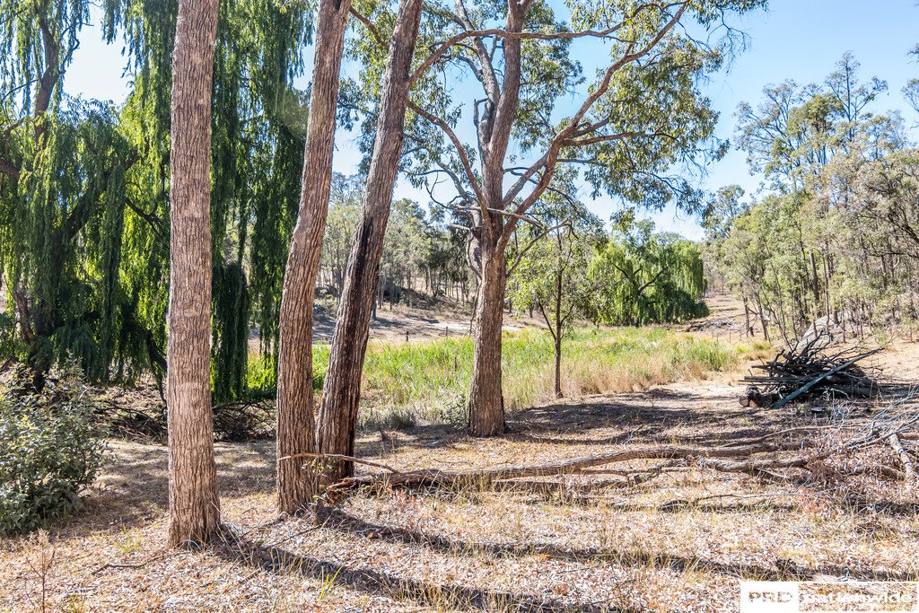 1524 New England Gully  MOONBI 22