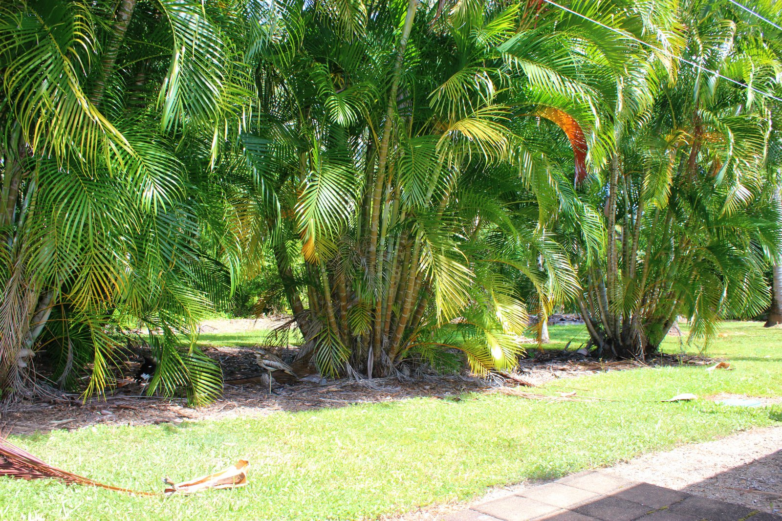 15/28 Island Drive CANNONVALE 8