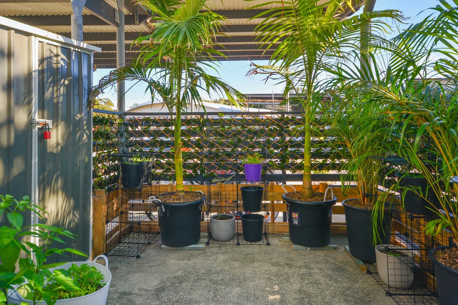 15/3 Cedarwood Court CASUARINA 8