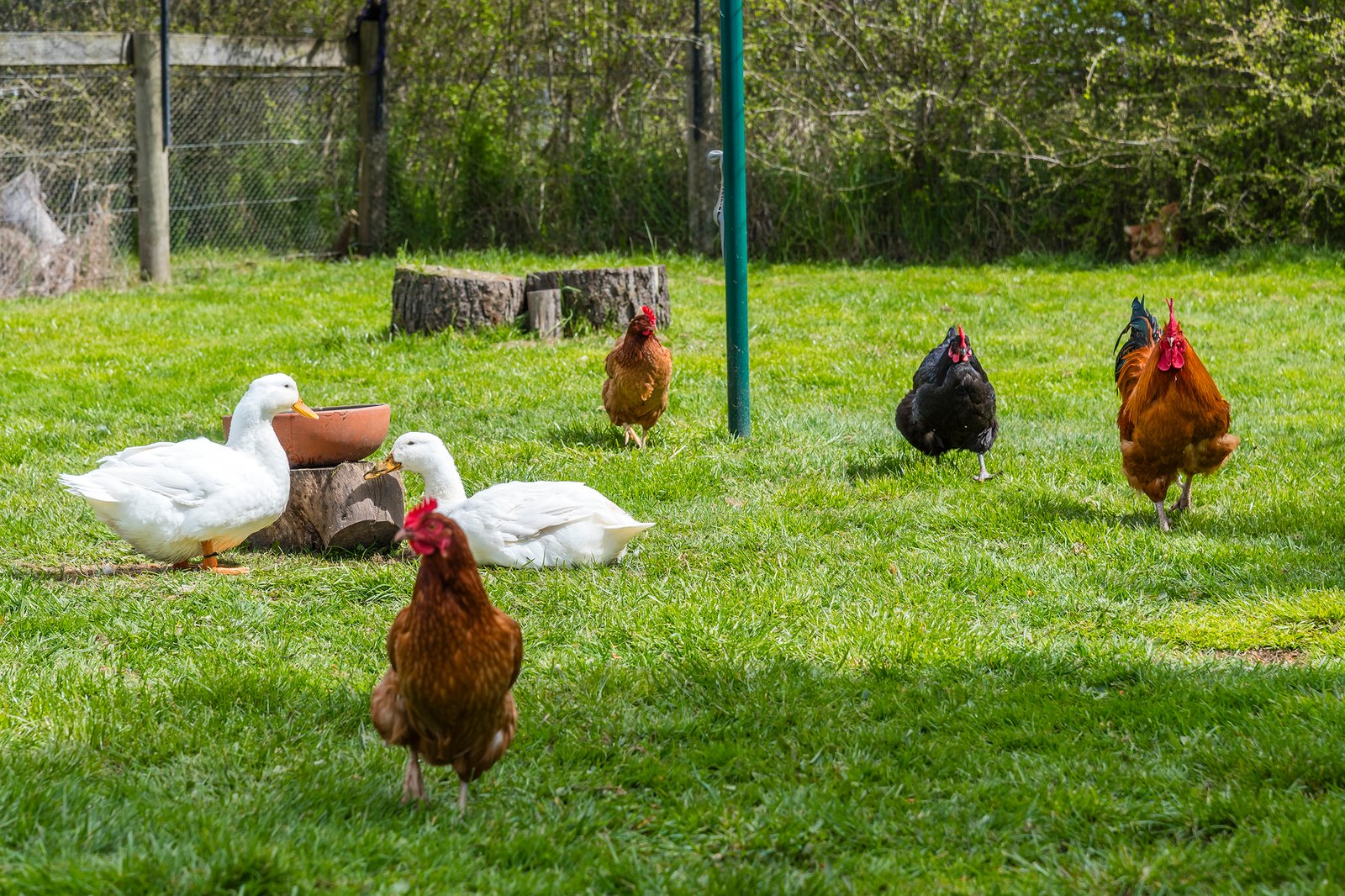 Real Estate and Property in 153 Flynns Lane, Kyneton, VIC