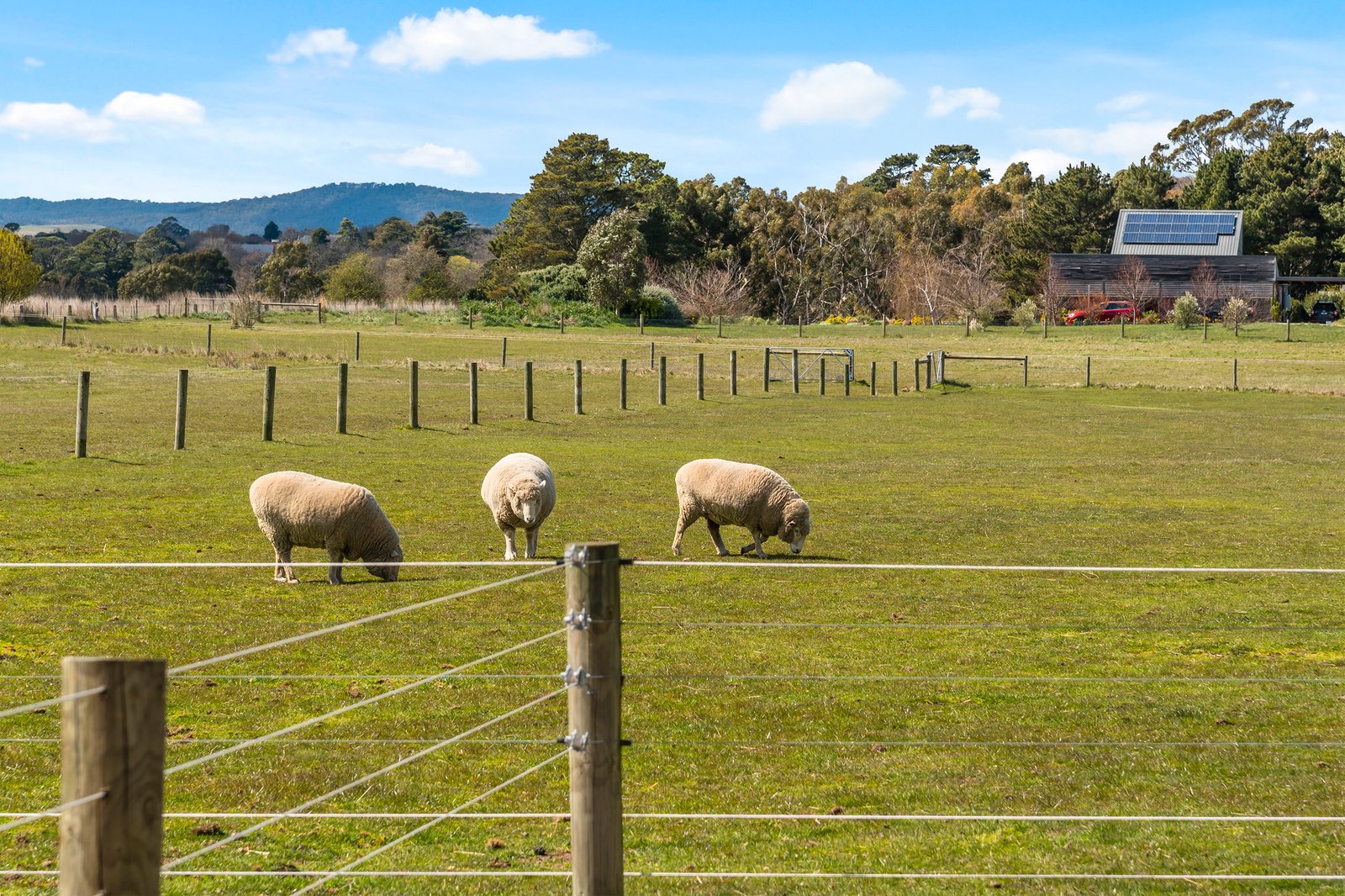 Real Estate and Property in 153 Flynns Lane, Kyneton, VIC