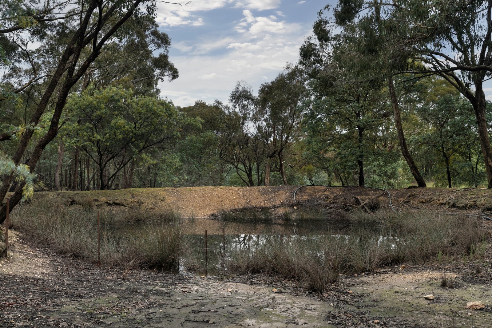 153 Gladstone Street LEXTON 7