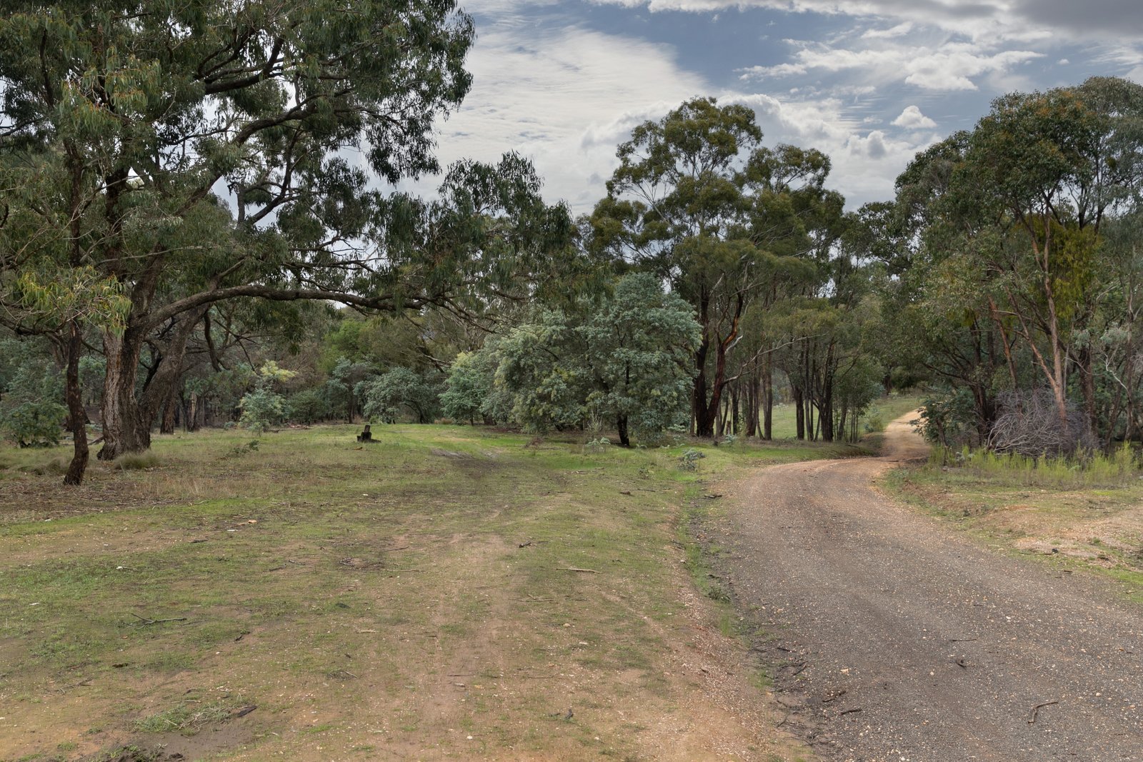 153 Gladstone Street LEXTON 12