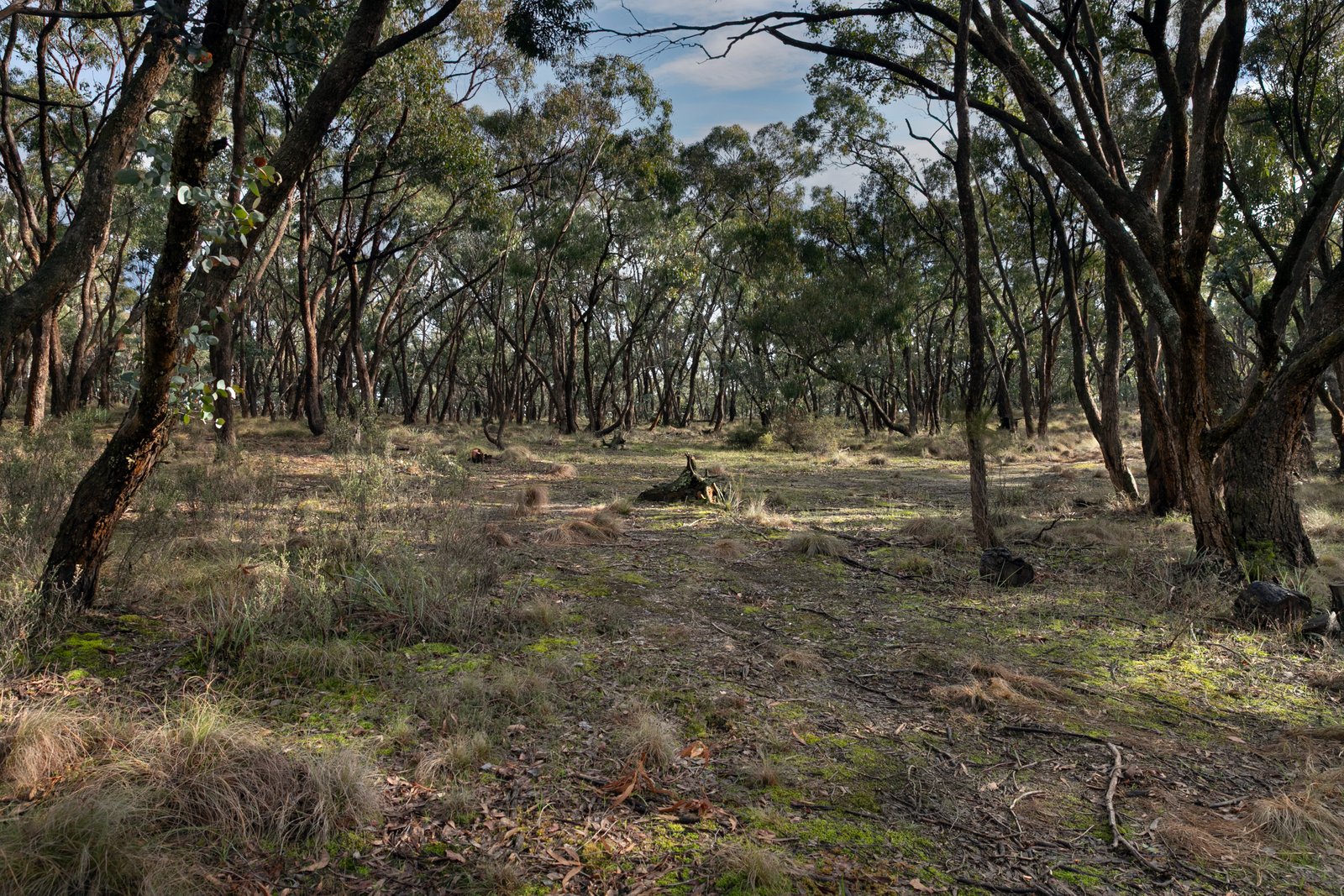 153 Gladstone Street LEXTON 13