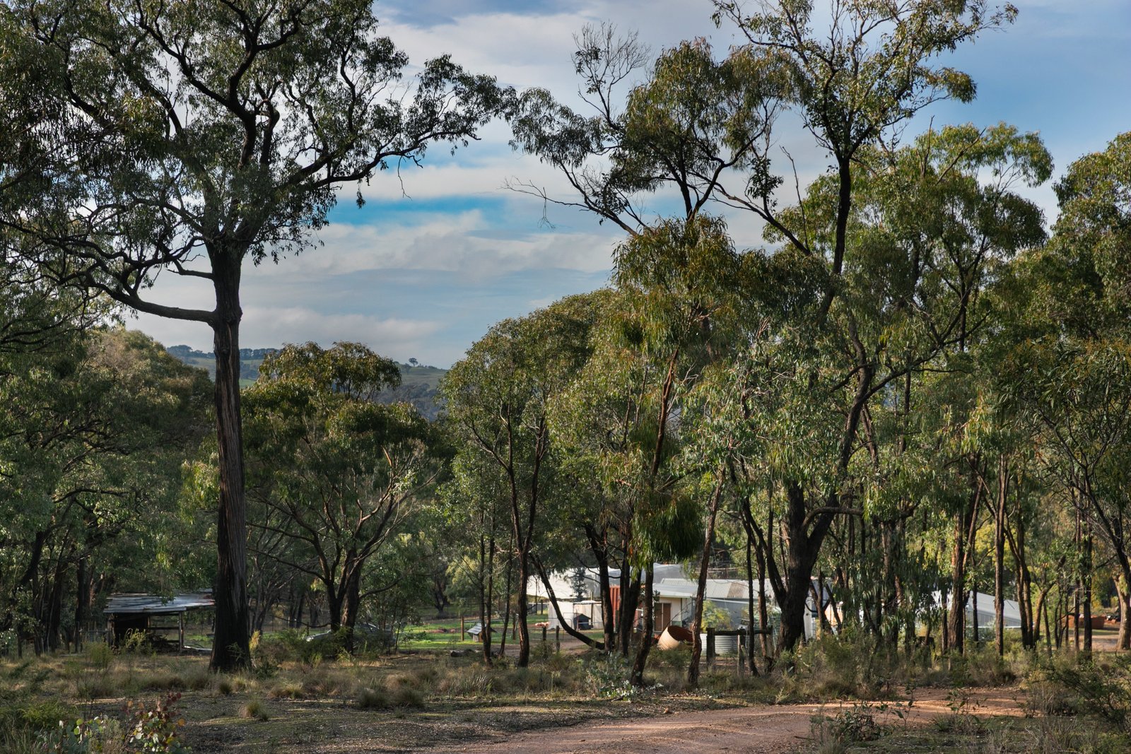 153 Gladstone Street LEXTON 14
