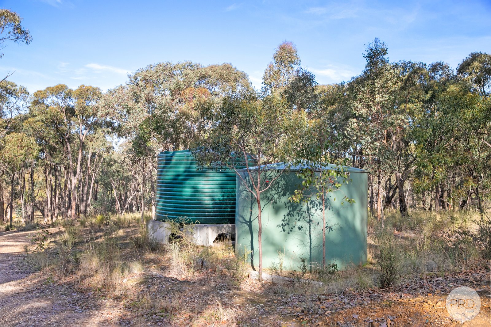 153 Gladstone Street LEXTON 15