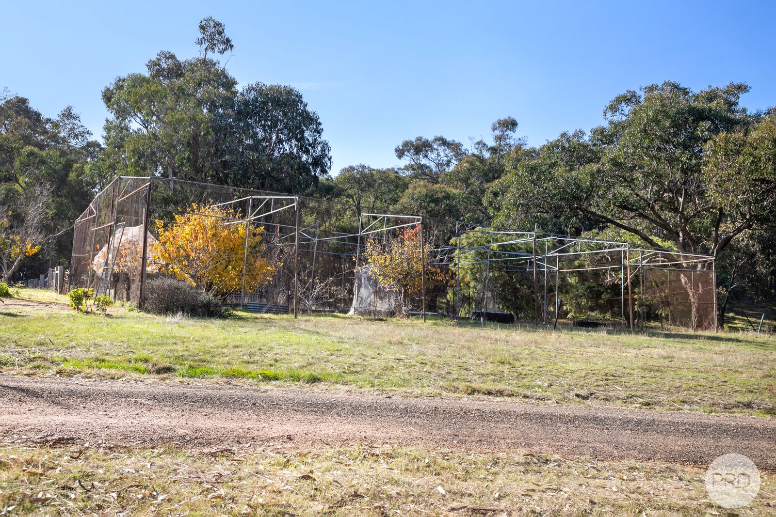 153 Gladstone Street LEXTON 20