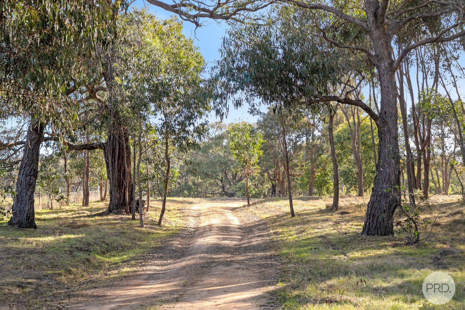 153 Gladstone Street LEXTON 21