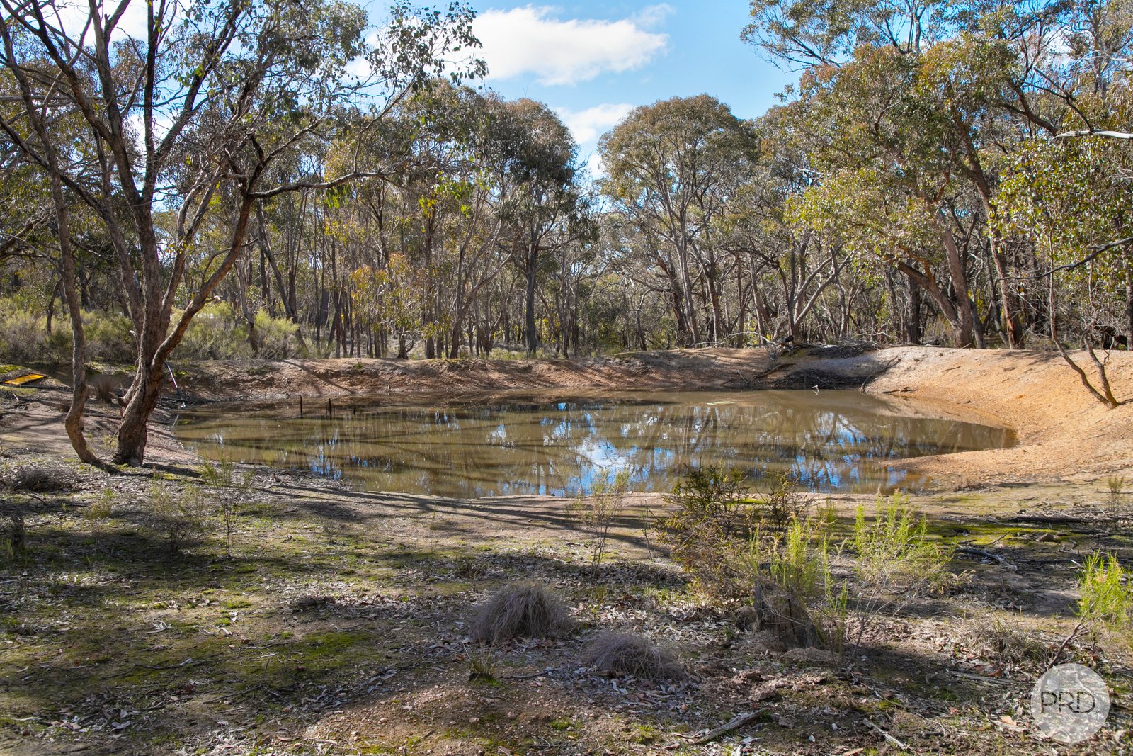 153 Gladstone Street LEXTON 4