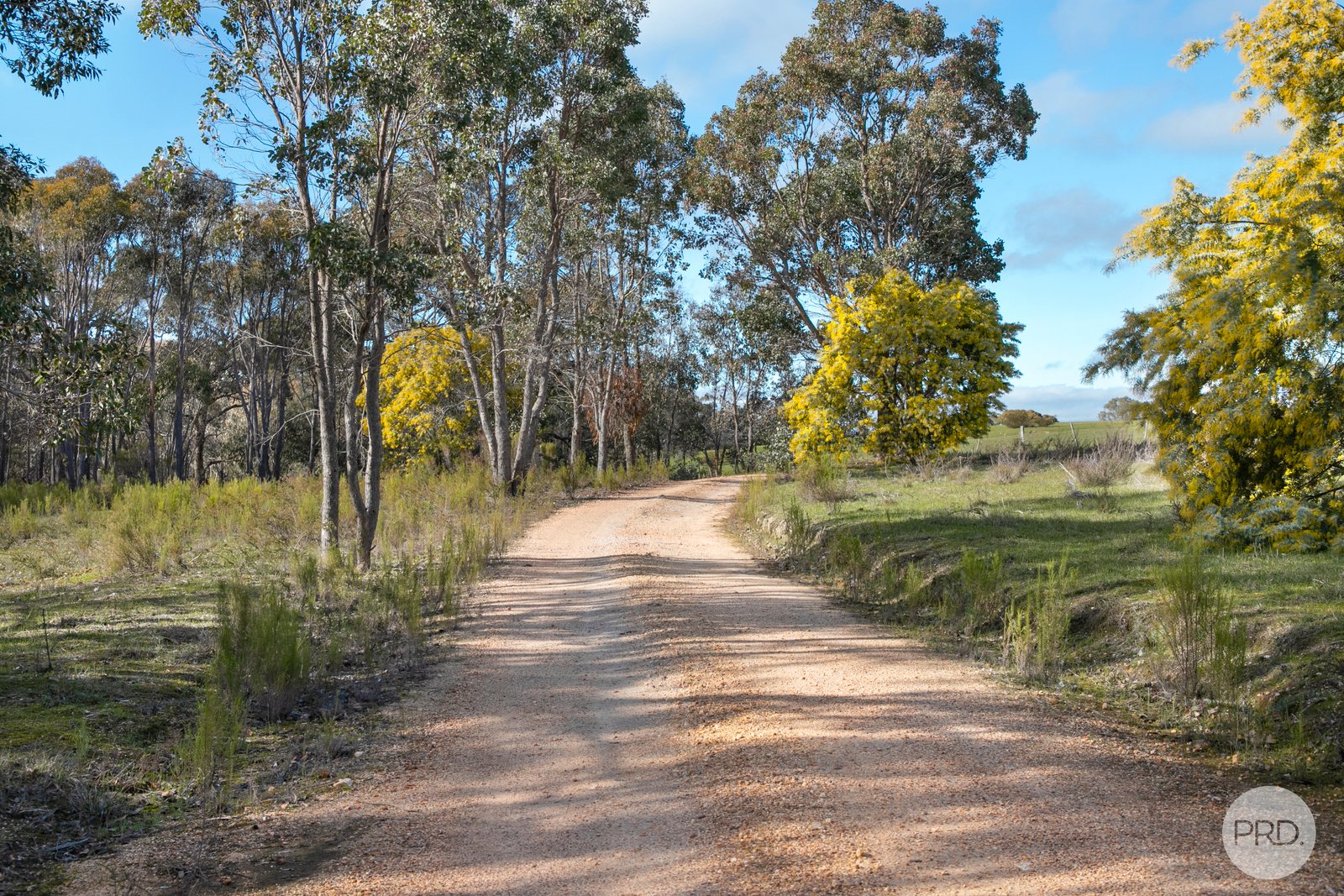 153 Gladstone Street LEXTON 5