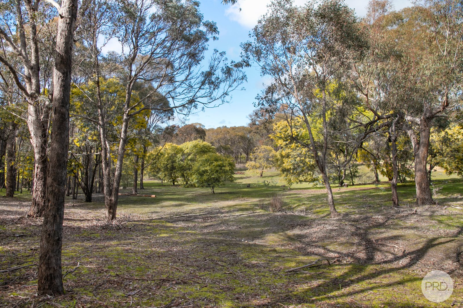 153 Gladstone Street LEXTON 7