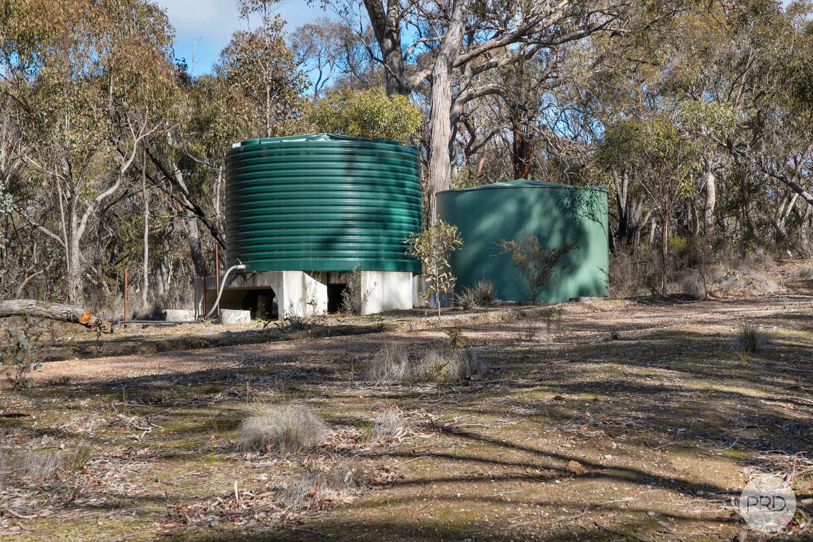 153 Gladstone Street LEXTON 8