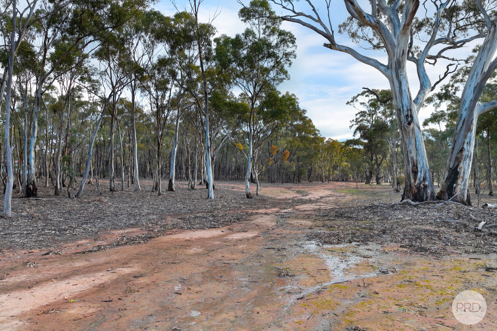 153 Glenisters Gap Road NAVARRE 11