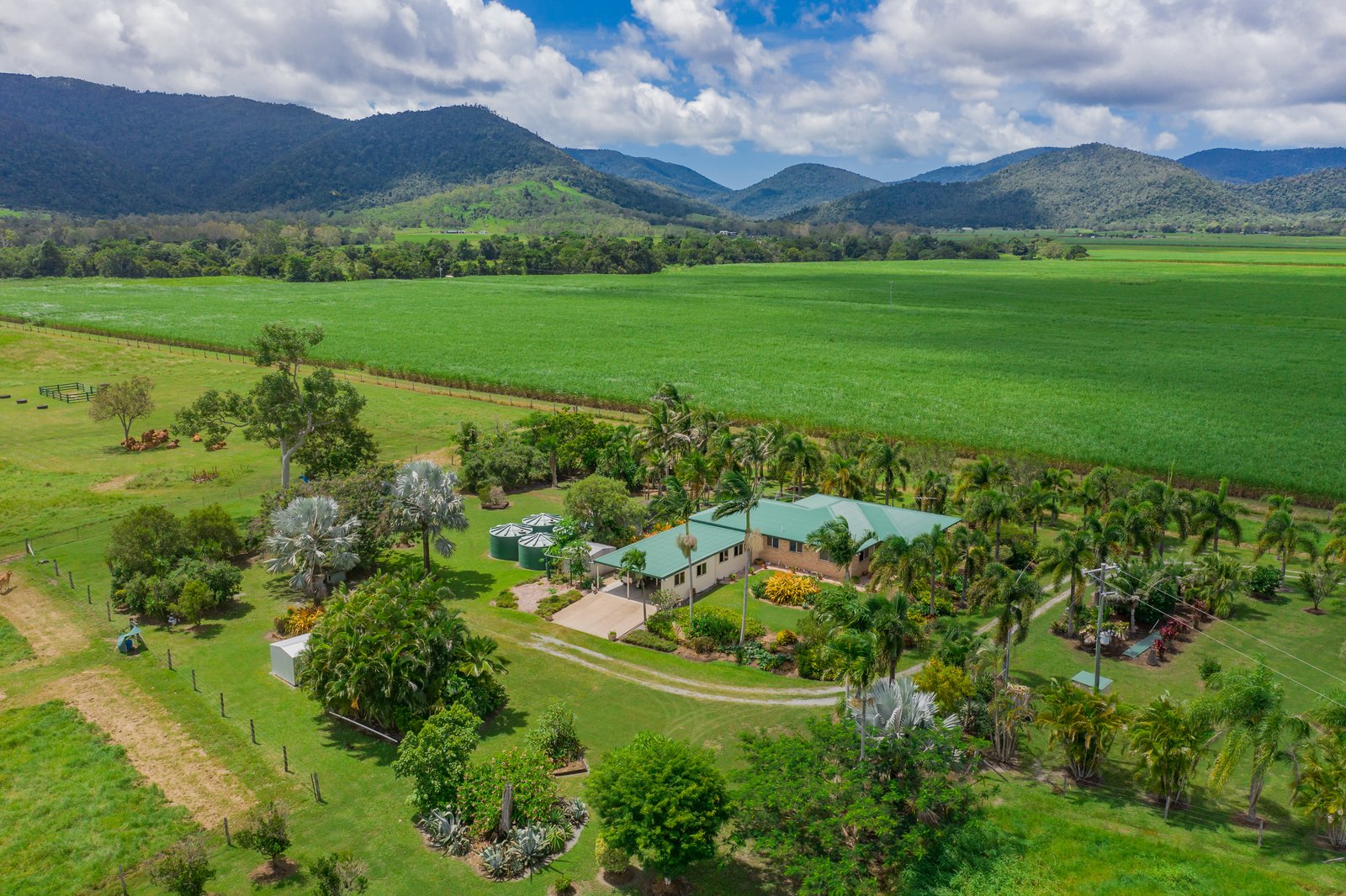 153 Gregory Cannon Valley Road GREGORY RIVER 1