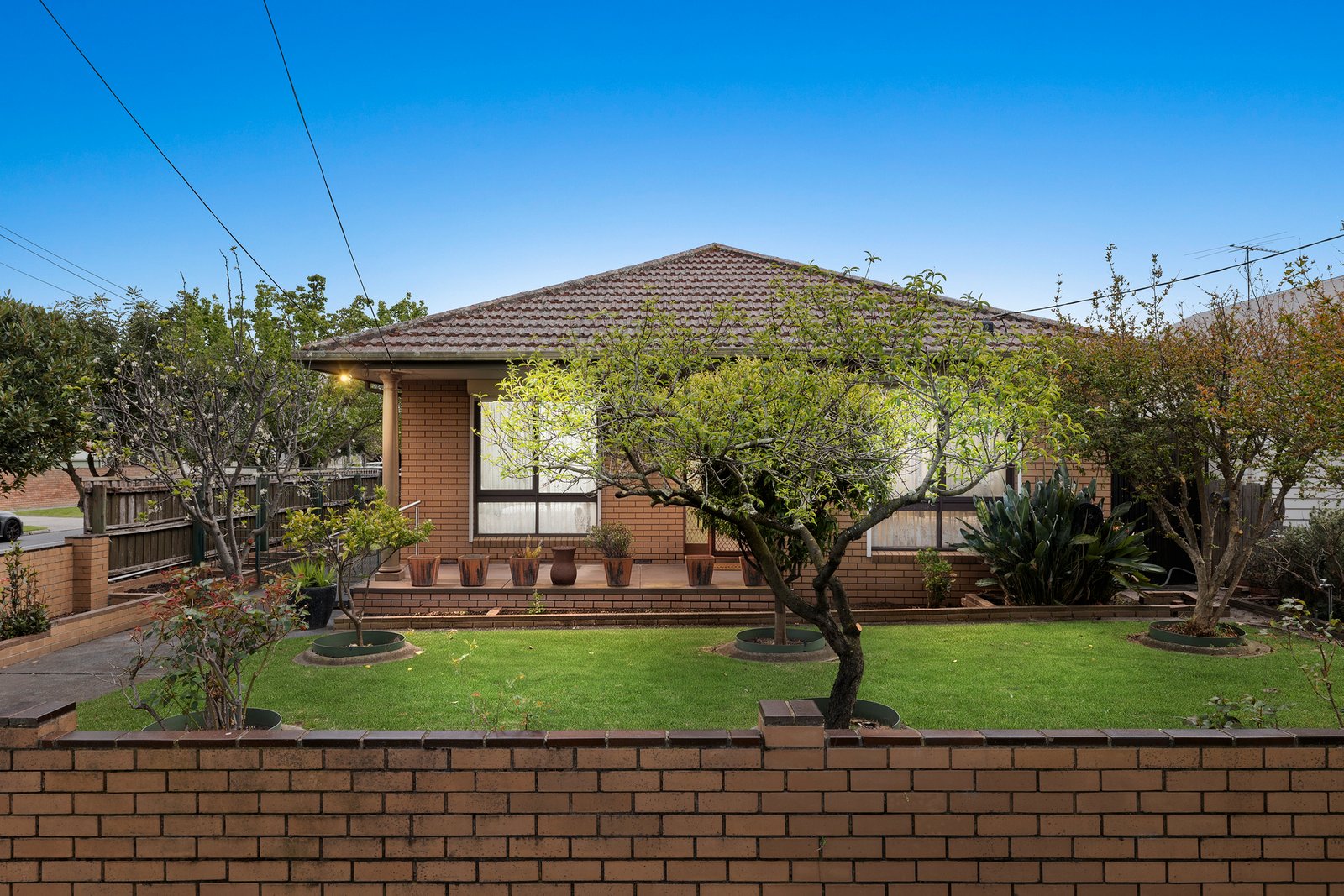 Gallery: 153 Kangaroo Road