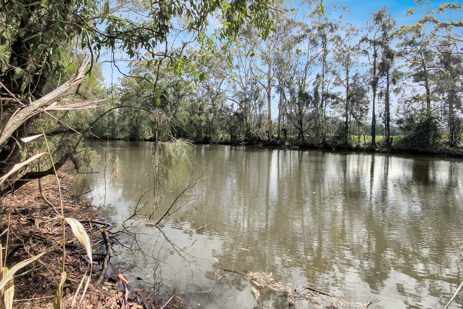 153 Wharf Road JOHNS RIVER 4