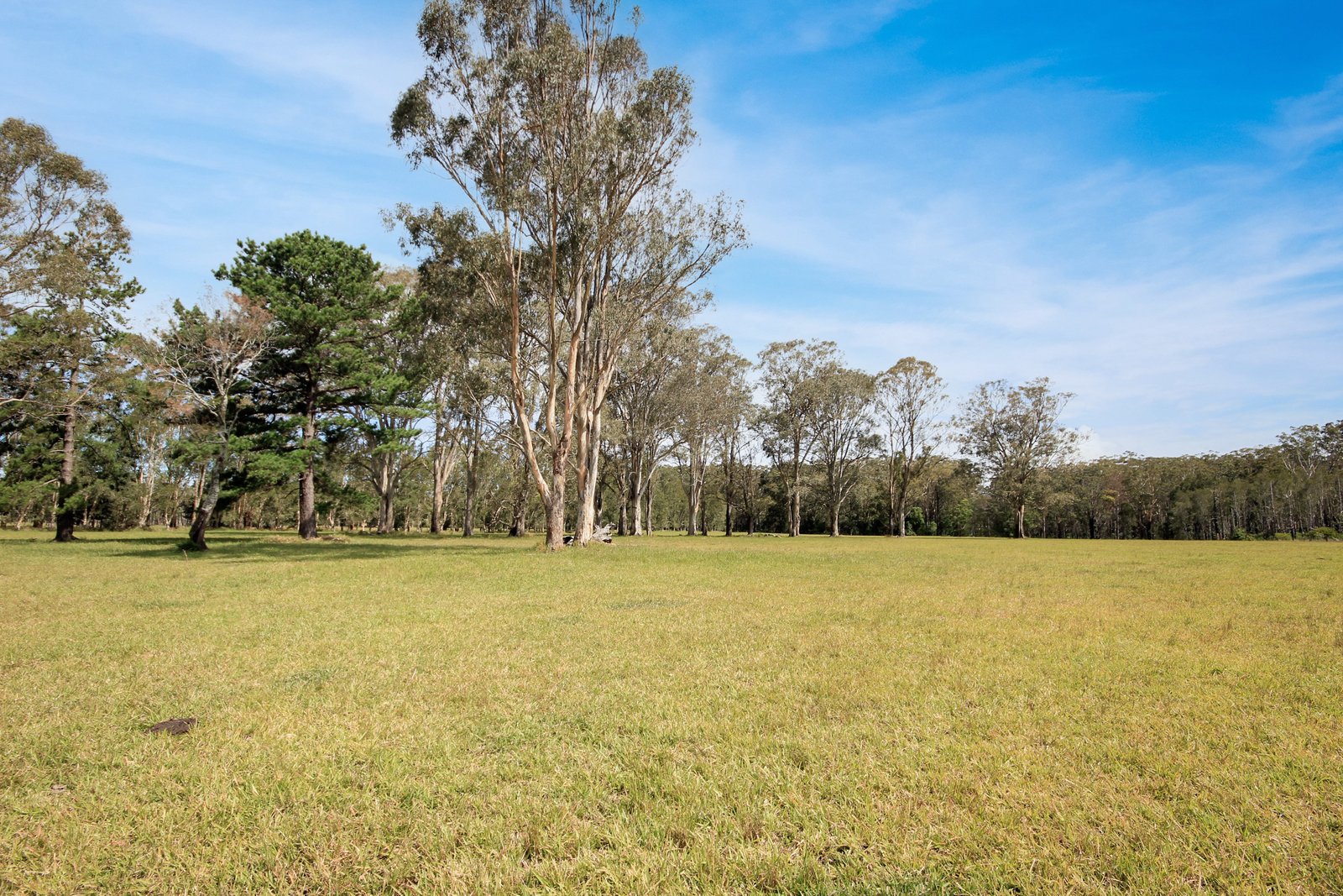 153 Wharf Road JOHNS RIVER 5