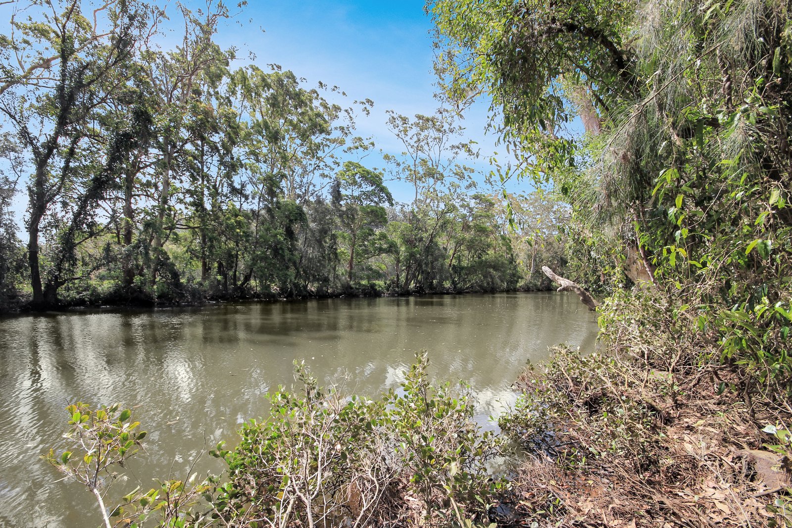 153 Wharf Road JOHNS RIVER 7