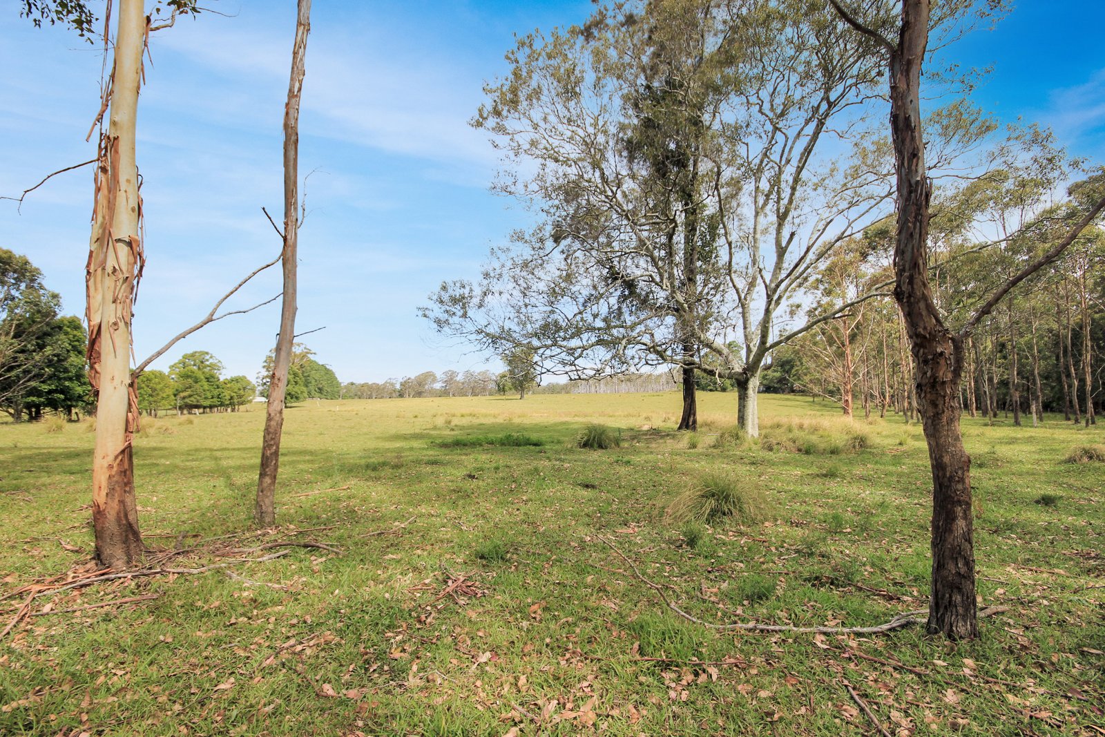 153 Wharf Road JOHNS RIVER 9