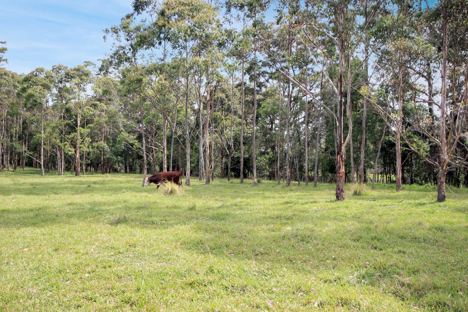 153 Wharf Road JOHNS RIVER 10