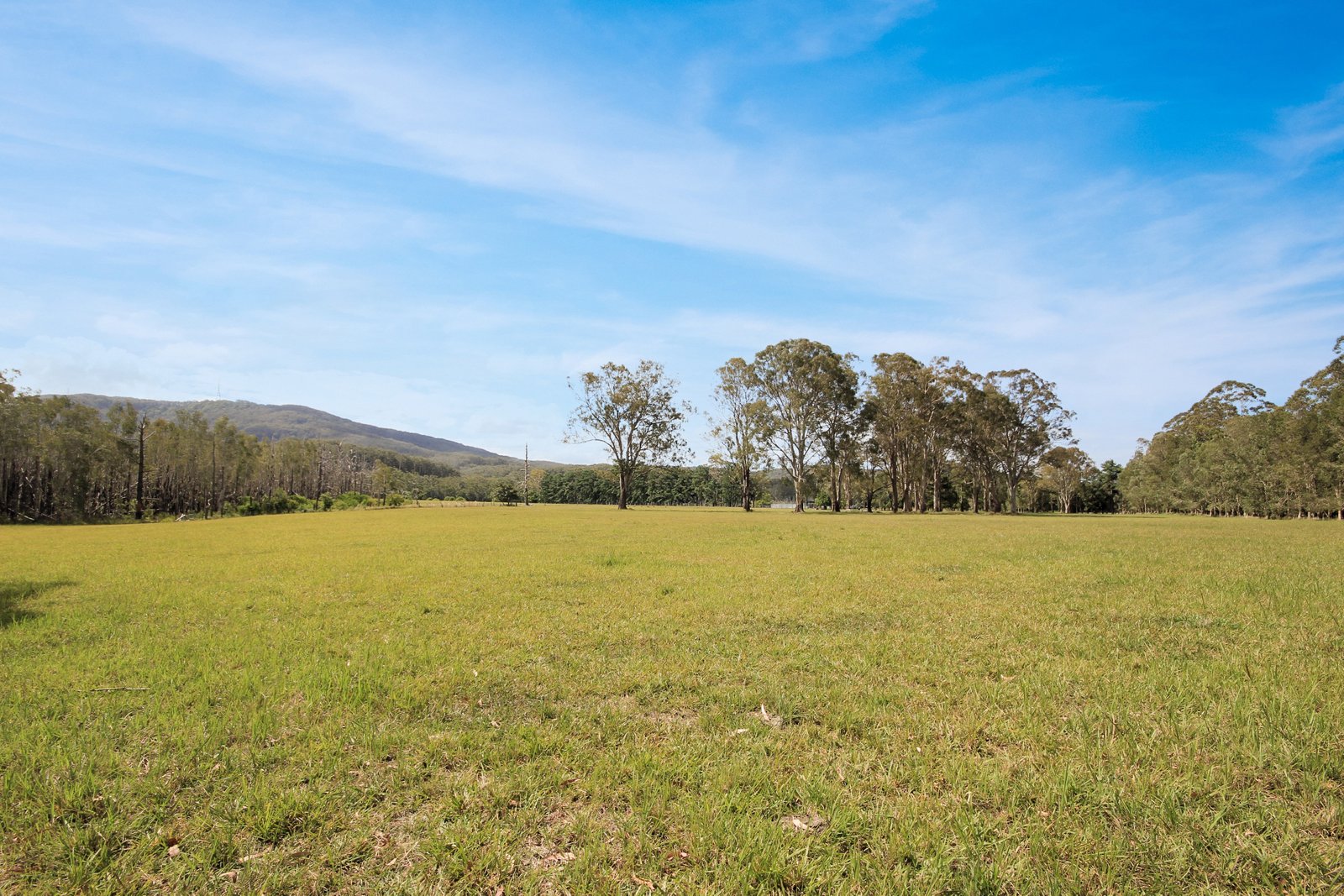 153 Wharf Road JOHNS RIVER 12