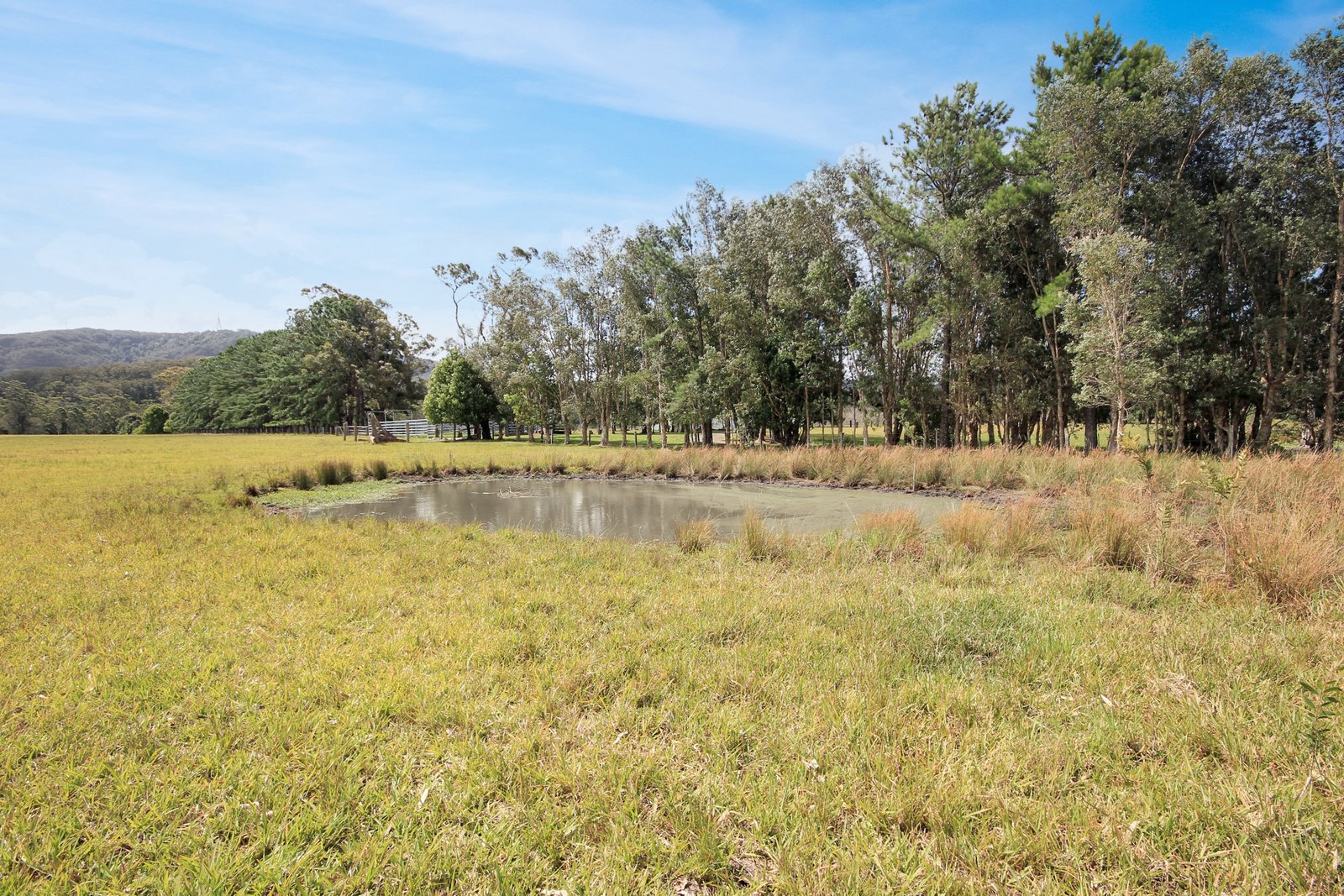 153 Wharf Road JOHNS RIVER 14