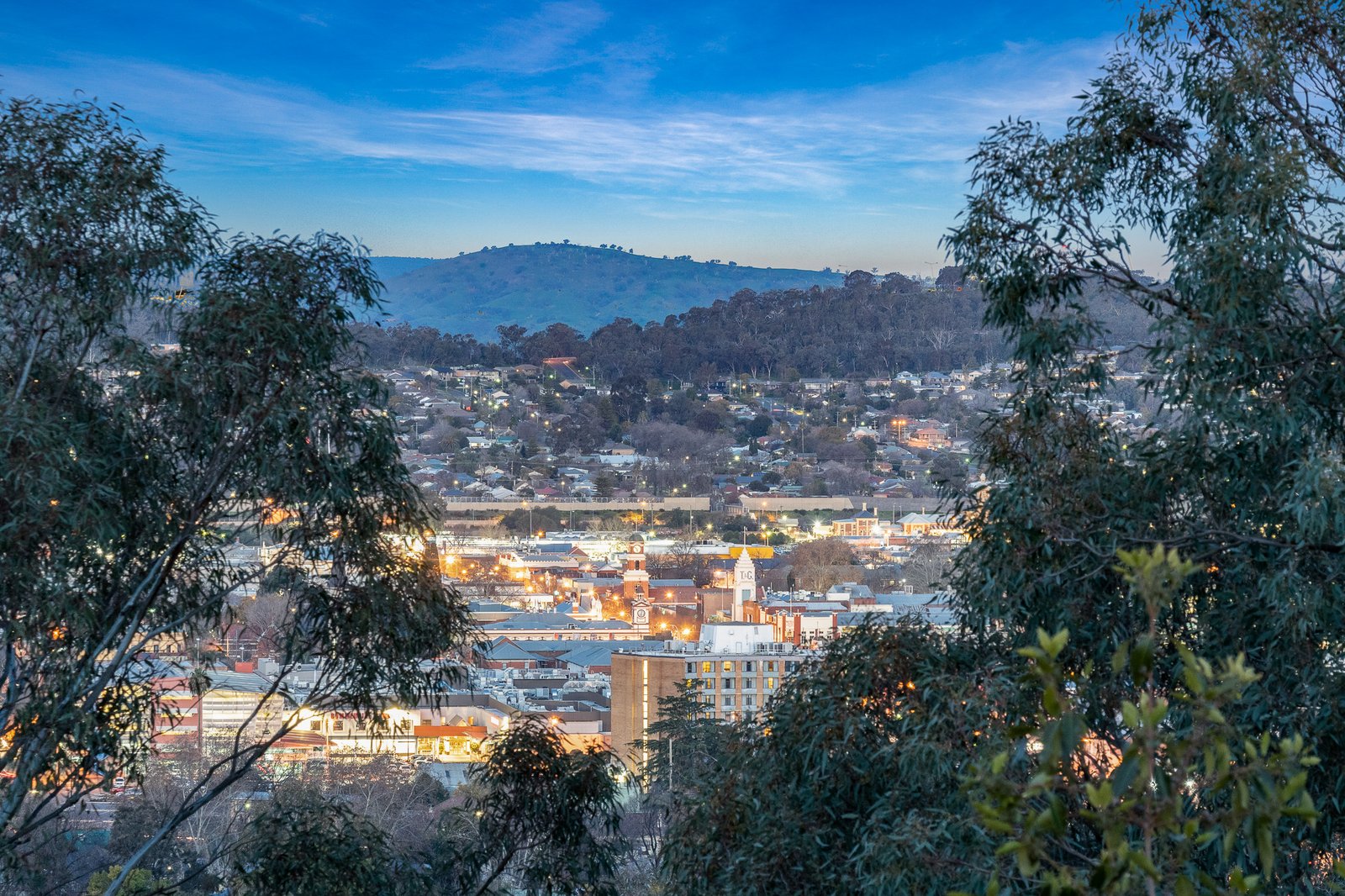 1/536 Roper Street ALBURY 14