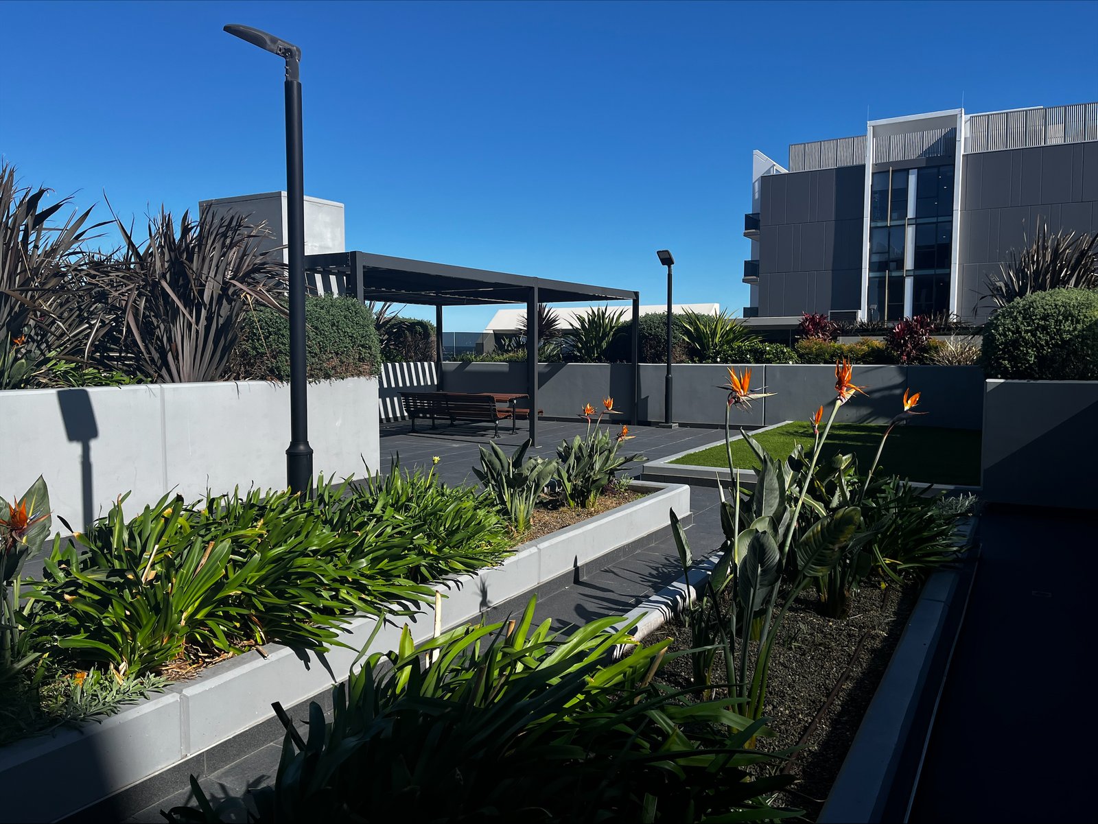 1 Studio Drive EASTGARDENS NSW 2036