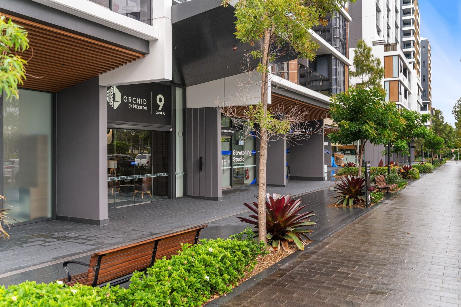 1538/1 Studio Drive EASTGARDENS 12