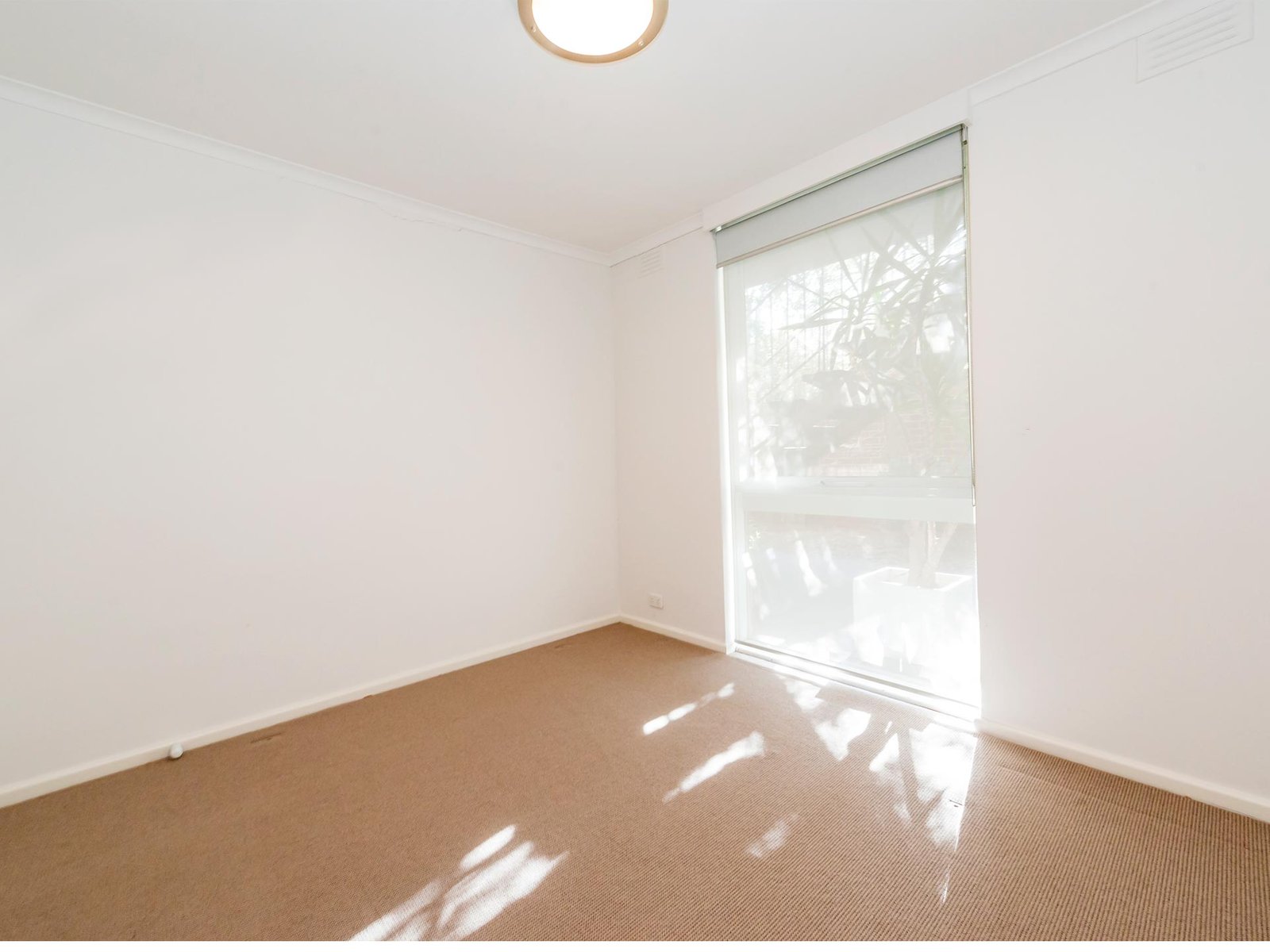 Gallery: 1/54 Ebden Avenue