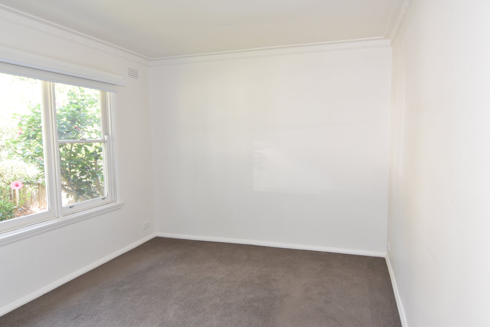 Gallery: 1/54 Helms Street