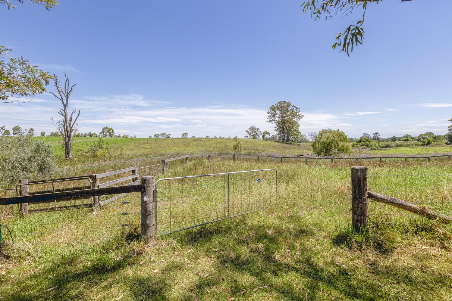 1549 Paterson Road PATERSON 31