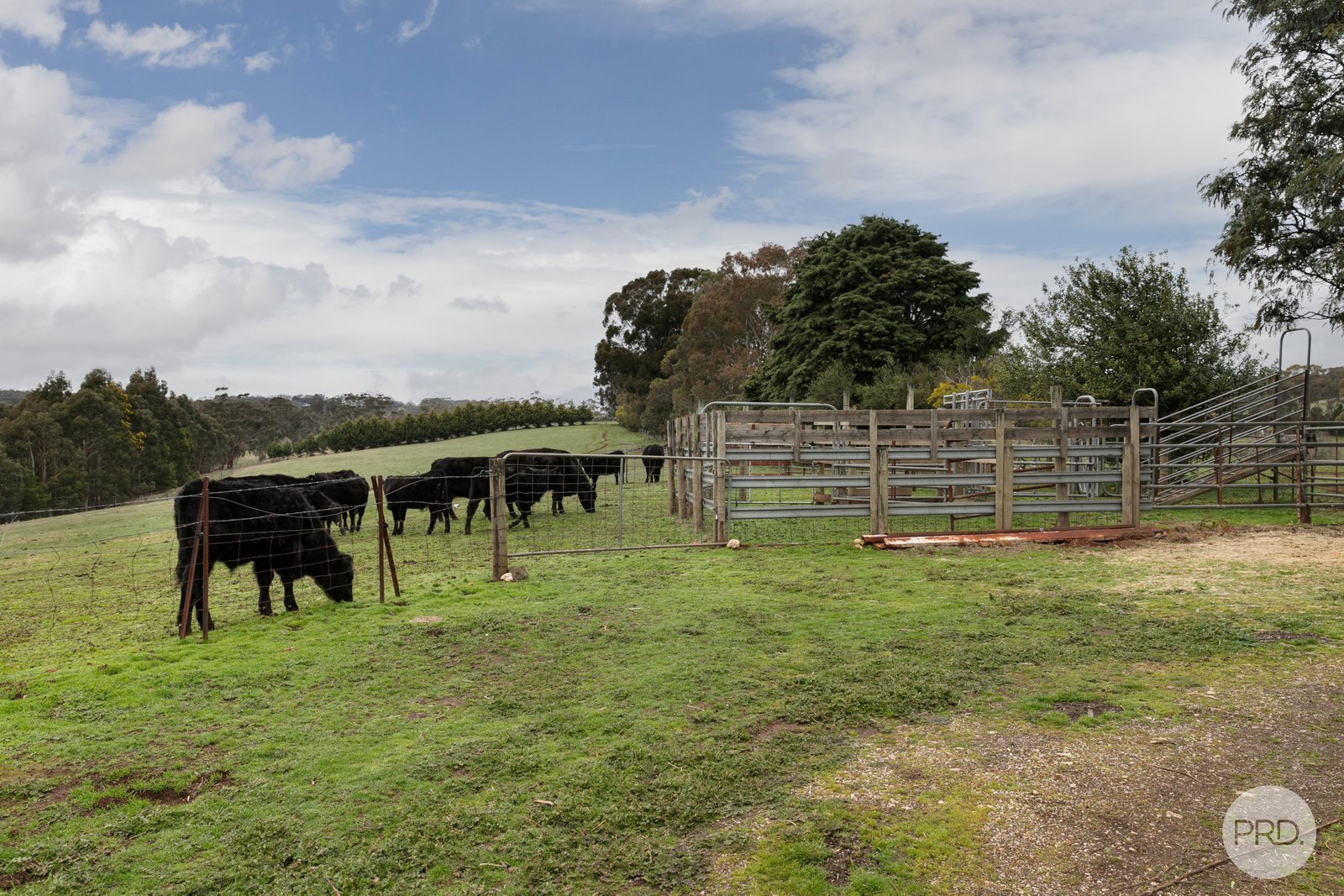 155 Creswick-Dean Road DEAN 11