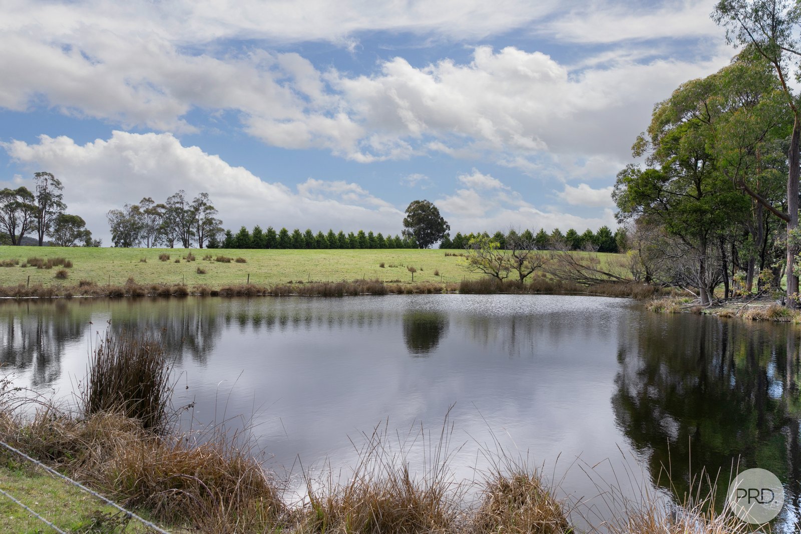 155 Creswick-Dean Road DEAN 14