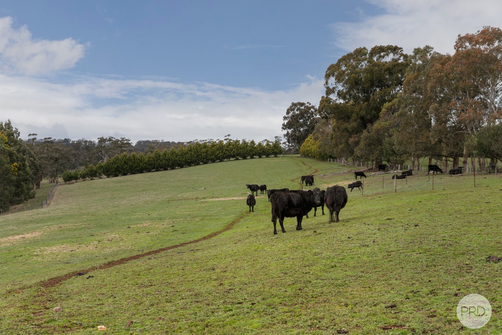 155 Creswick-Dean Road DEAN 18