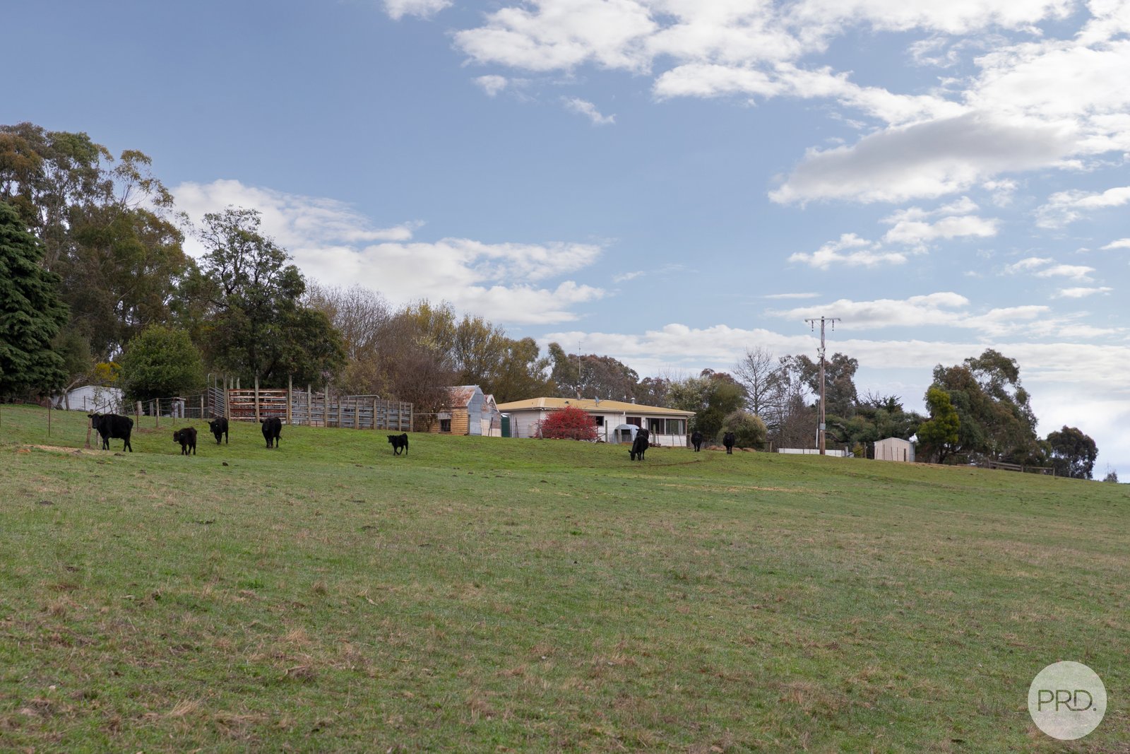 155 Creswick-Dean Road DEAN 21